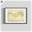 アートポスター-Sea-Horse Illustration
 - 国立医学図書館 Poster.