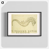 アートポスター-Sea-Horse Illustration
 - 国立医学図書館 Poster.