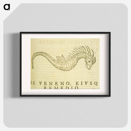 アートポスター-Sea-Horse Illustration
 - 国立医学図書館 Poster.