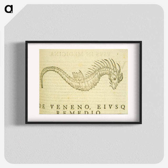 アートポスター-Sea-Horse Illustration
 - 国立医学図書館 Poster.