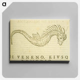 アートパネル-Sea-Horse Illustration
 - 国立医学図書館 Canvas.