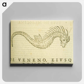 アートパネル-Sea-Horse Illustration
 - 国立医学図書館 Canvas.