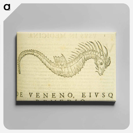 アートパネル-Sea-Horse Illustration
 - 国立医学図書館 Canvas.