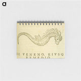 アートメモ帳-Sea-Horse Illustration
 - 国立医学図書館 Memo.