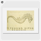 アートポスター-Sea-Horse Illustration
 - 国立医学図書館 Poster.