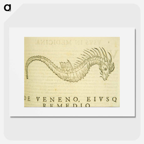 アートポスター-Sea-Horse Illustration
 - 国立医学図書館 Poster.