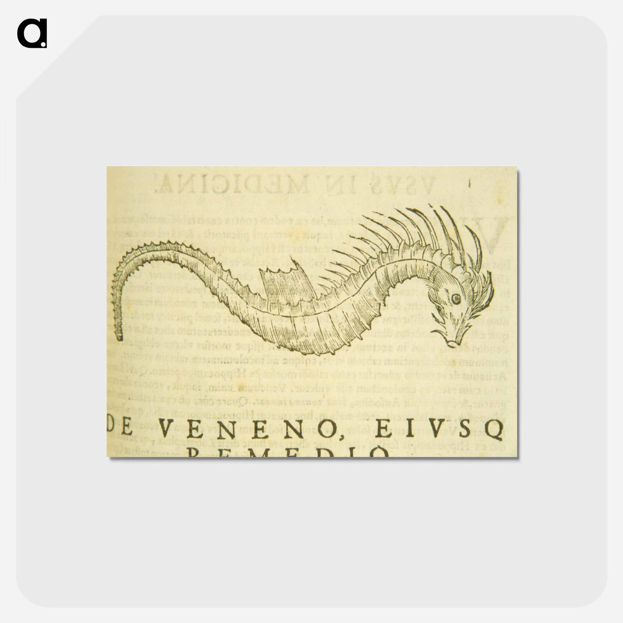 アートポストカード-Sea-Horse Illustration
 - 国立医学図書館 Postcard.