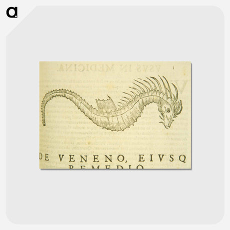 アートポストカード-Sea-Horse Illustration
 - 国立医学図書館 Postcard.
