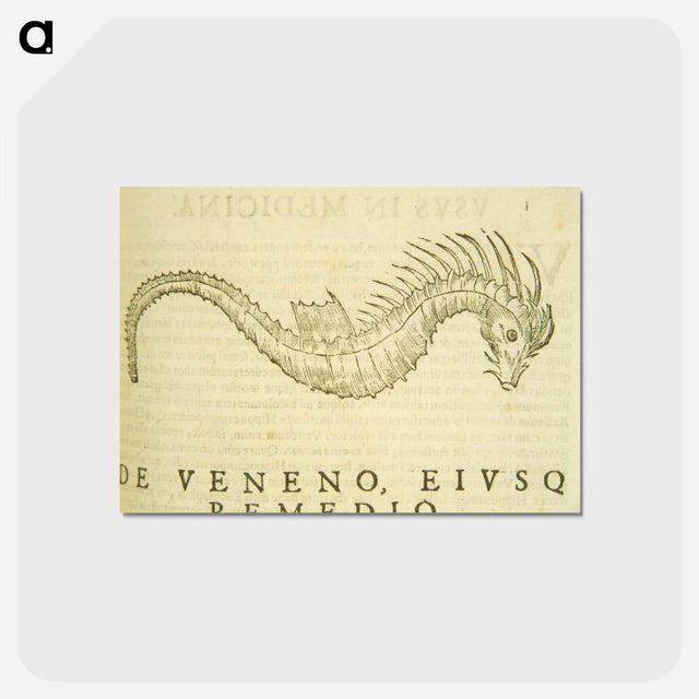 アートポストカード-Sea-Horse Illustration
 - 国立医学図書館 Postcard.