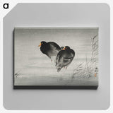 3-35_Ohara-Koson_canvas