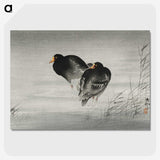 3-35_Ohara-Koson_picture-crop