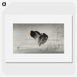 3-35_Ohara-Koson_picture