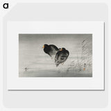 3-35_Ohara-Koson_picture