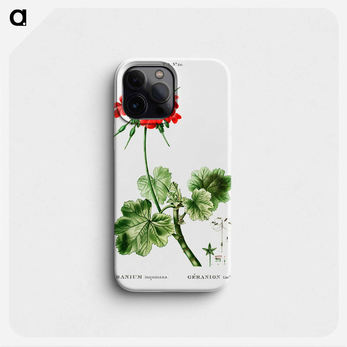 Scarlet geranium - ピエール ジョゼフ ルドゥーテ Phone Case.