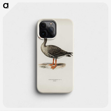3-35_Svenska-Faglar_phone