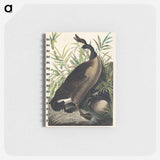 アートメモ帳-Canada Goose from Birds of America
 - アメリカの鳥たち Memo.