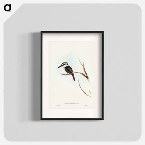 オーストラリア