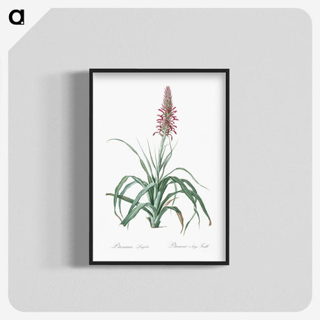 3-35_The-Lilies_blk-crop