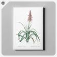 3-35_The-Lilies_canvas