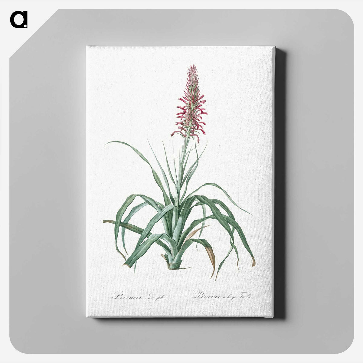 3-35_The-Lilies_canvas