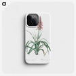 3-35_The-Lilies_phone