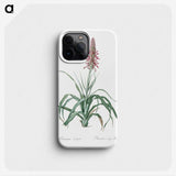 3-35_The-Lilies_phone