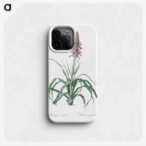 3-35_The-Lilies_phone