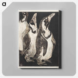 Drie pinguïns - Theo van Hoytema Canvas.