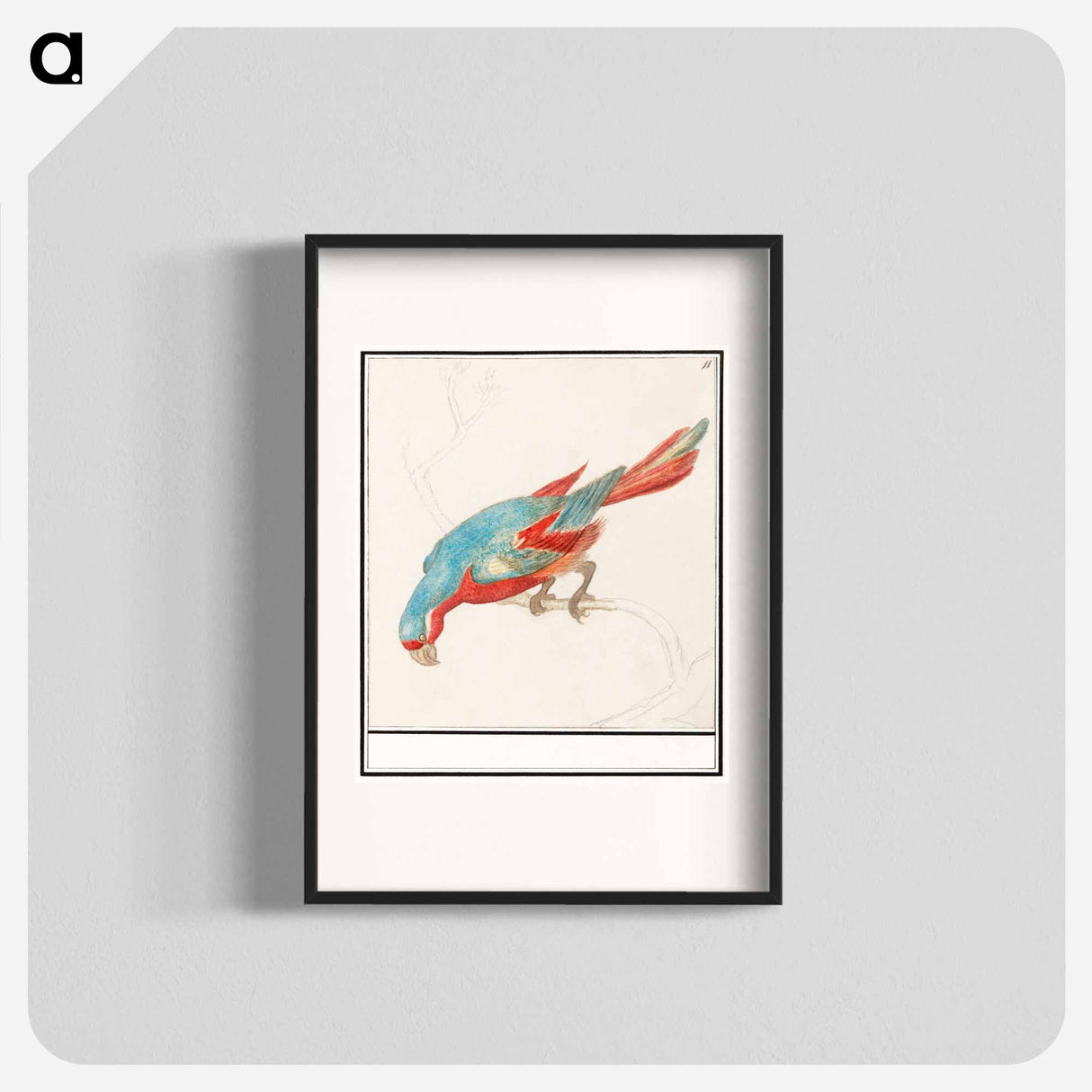 Parrot - アンセルムス ボエティウス デ ブート Poster.