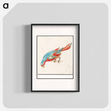 Parrot - アンセルムス ボエティウス デ ブート Poster.