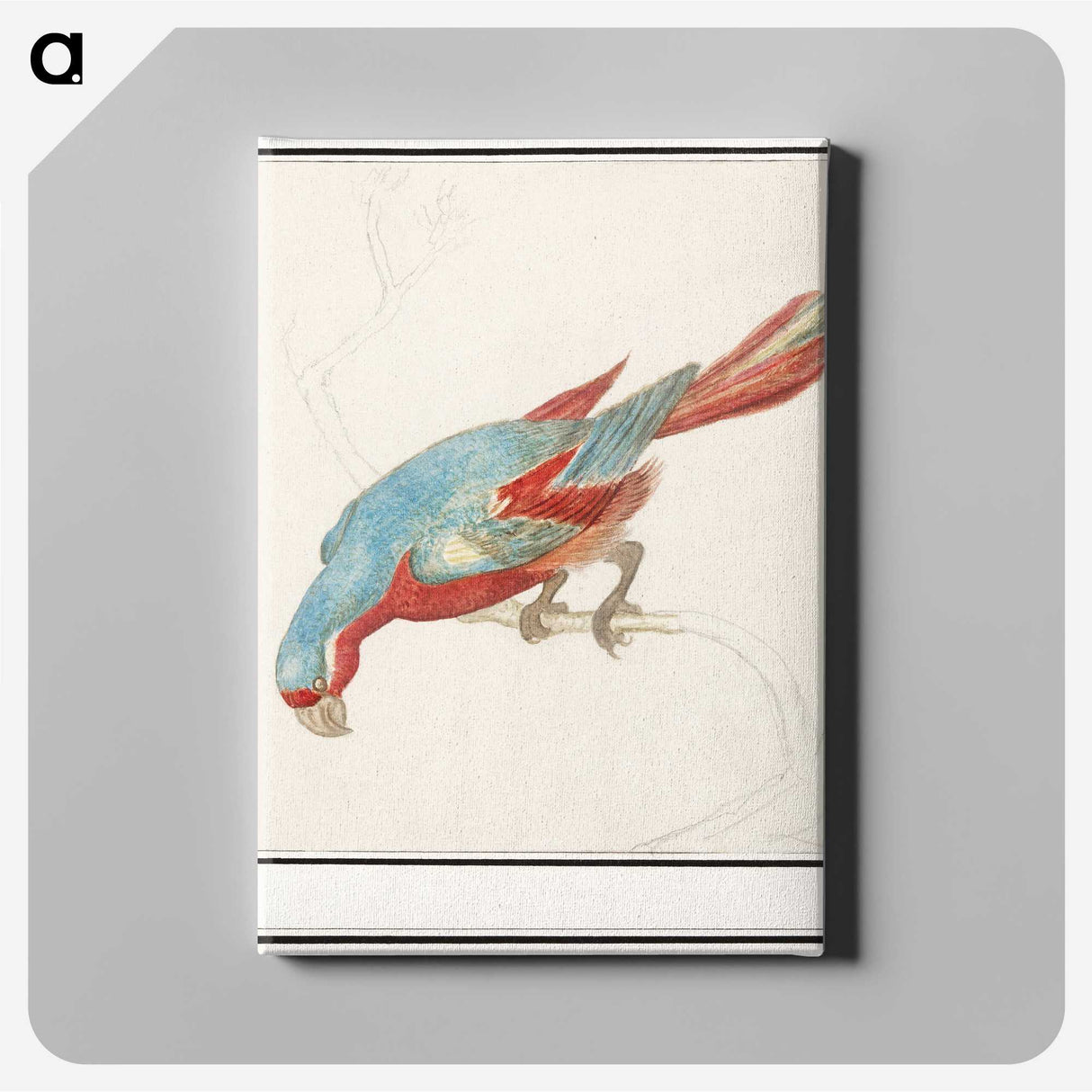 3-36_Anselmus-Boetius-de-Boodt_canvas