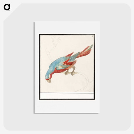 3-36_Anselmus-Boetius-de-Boodt_hagaki