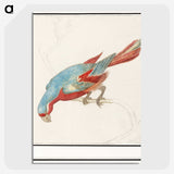 3-36_Anselmus-Boetius-de-Boodt_picture-crop