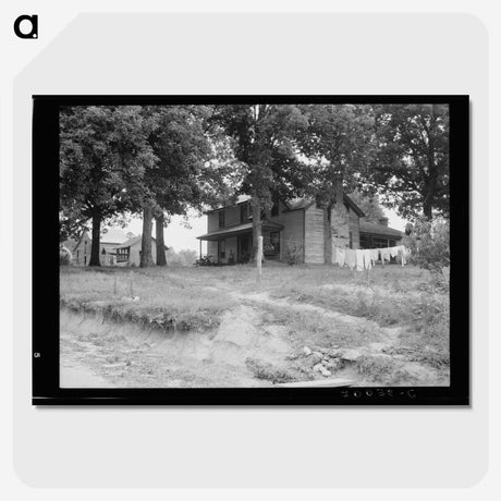 3-36_Dorothea-Lange_picture-crop
