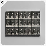 3-36_Eadweard-Muybridge_canvas