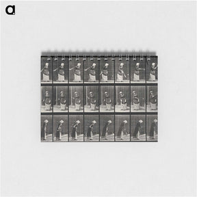 3-36_Eadweard-Muybridge_memo