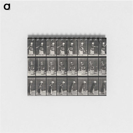 3-36_Eadweard-Muybridge_memo