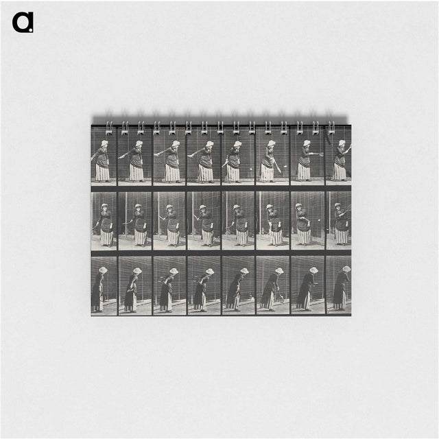 3-36_Eadweard-Muybridge_memo