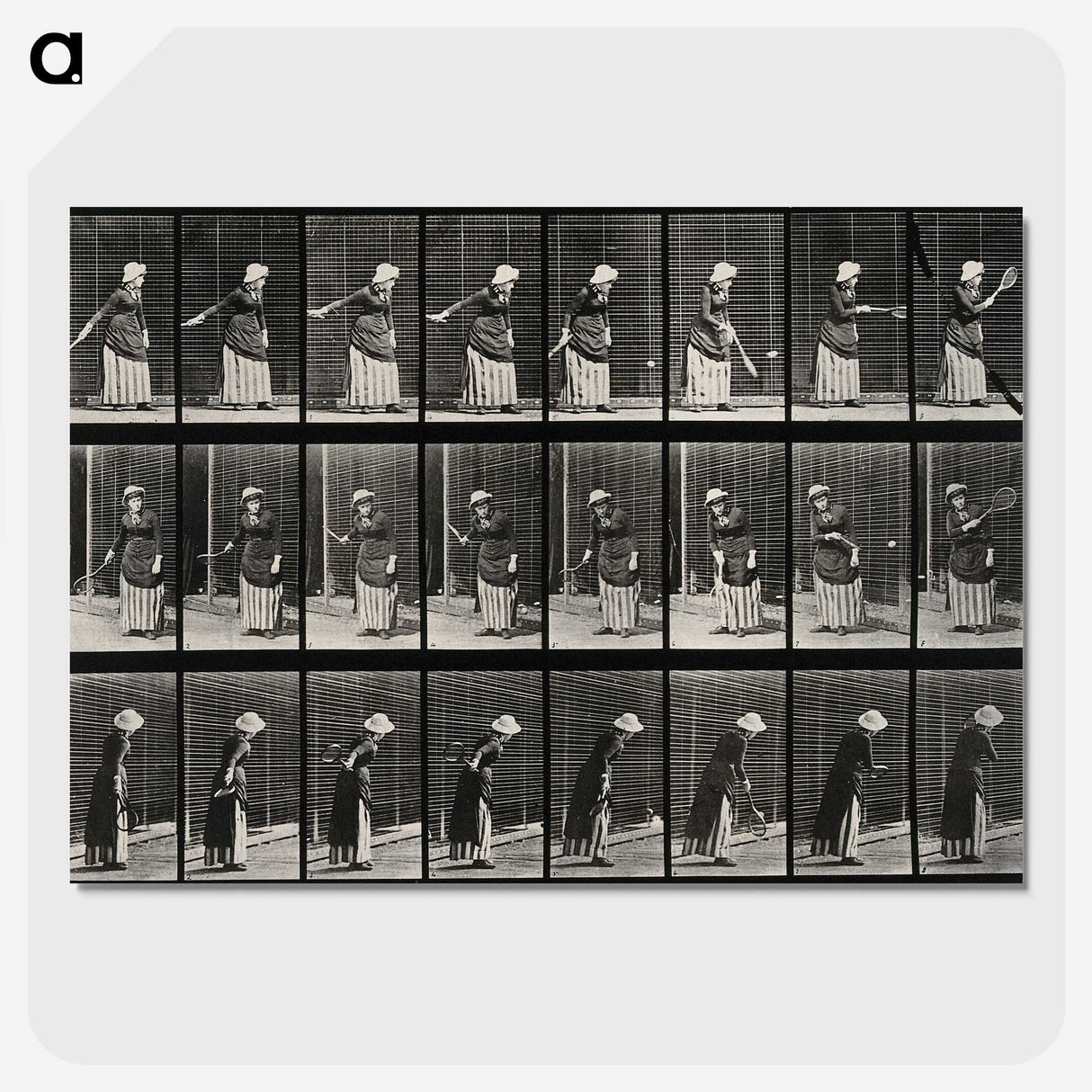 3-36_Eadweard-Muybridge_picture-crop