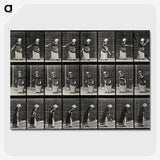 3-36_Eadweard-Muybridge_picture-crop