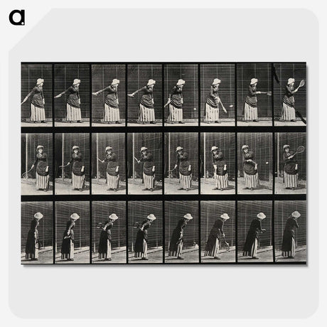 3-36_Eadweard-Muybridge_picture-crop