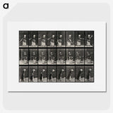 3-36_Eadweard-Muybridge_picture