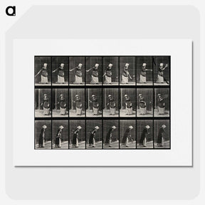 3-36_Eadweard-Muybridge_picture