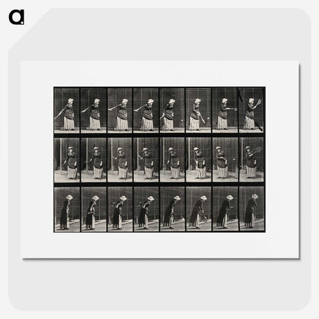 3-36_Eadweard-Muybridge_picture