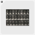 3-36_Eadweard-Muybridge_postcard