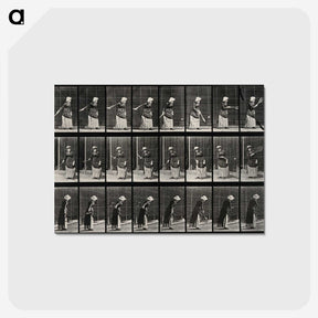 3-36_Eadweard-Muybridge_postcard