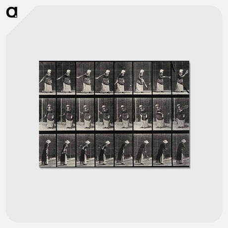 アートポストカード-Tennis Player
 - エドワード マイブリッジ Postcard.