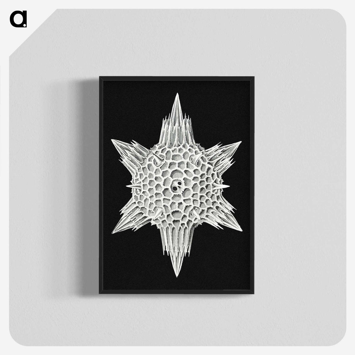 3-36_Ernst-Haeckel_blk-crop