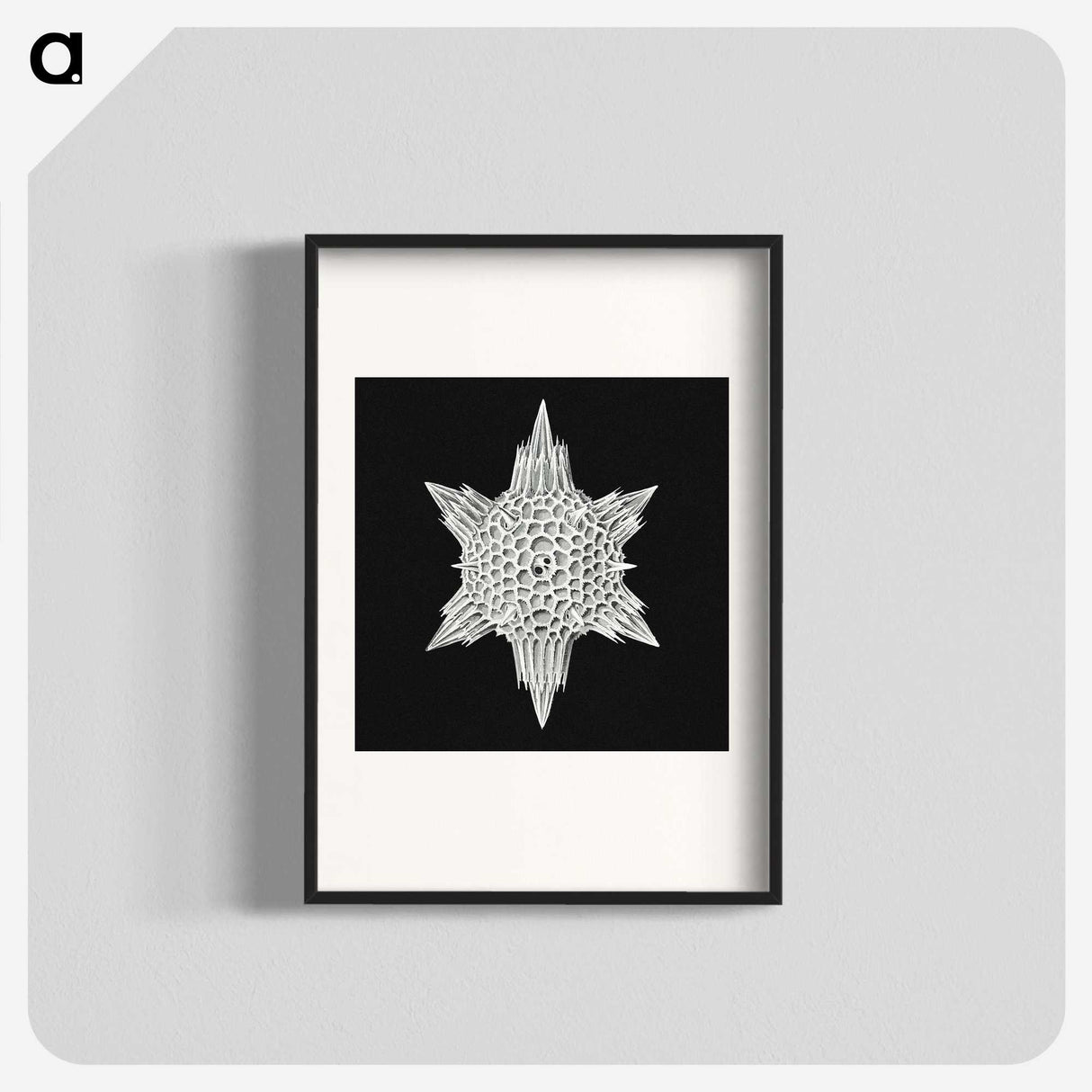 3-36_Ernst-Haeckel_blk