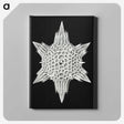 3-36_Ernst-Haeckel_canvas